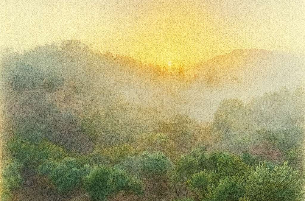 Bilinçdışının Karanlık Yüzüyle Barışık Yaşamak