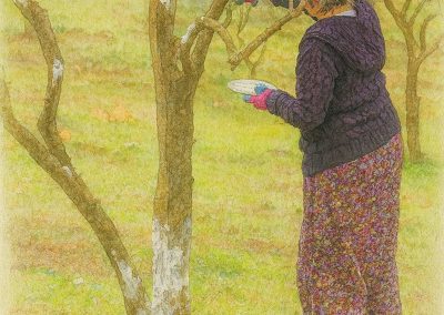 Ağaç Bakımı ve Arılara Hazırlık Şenliği